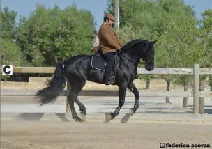 1070073_758378857520272_1864990442_n