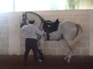 14260_101798759844955_6713381_n