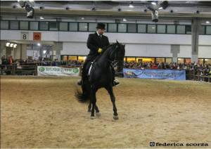 1655948_748024605222364_1159737470_n