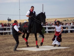 20472_102377949789834_3219_n