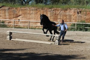 205357_458831544141673_2130743989_n