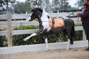 205612_1787299576316_7773541_n