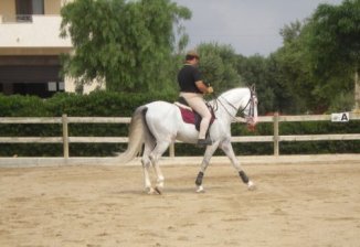 255767_2015787485060_3667227_n