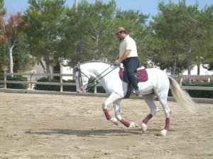 283994_249309888427174_4036765_n