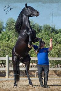 292075_535245013188398_2090967207_n