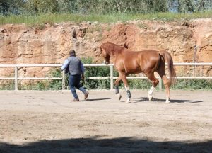 314013_458832184141609_800337967_n