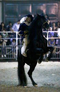 374868_296865183671644_25393680_n