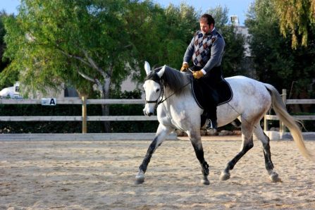 403126_351256098232552_1138408528_n