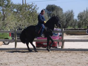 522073_574281899263303_449990458_n