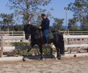 529271_574281299263363_521182157_n