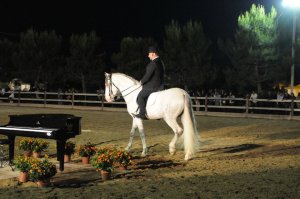 58439_152739788084185_4522028_n