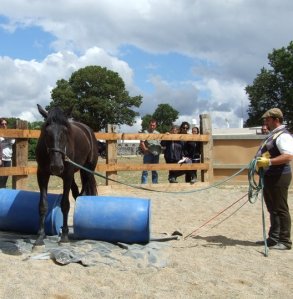 69879_163765576981606_1650694_n