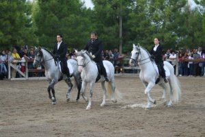 8731_1170007983451_1201402_n