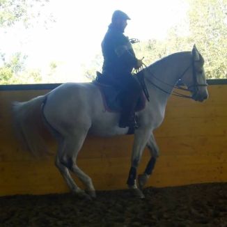 29597503_616076548741889_5114667446193854605_n