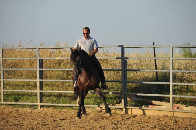 33854337_646096985739845_7905744910177796096_n