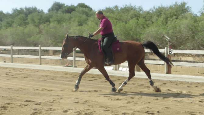 vlcsnap-2017-07-04-15h30m49s460