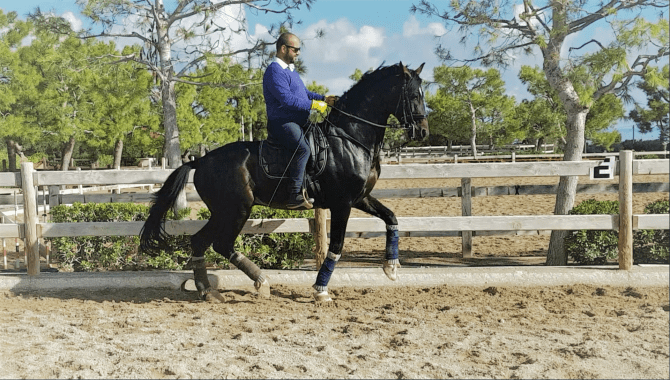 vlcsnap-2017-10-16-19h37m04s005